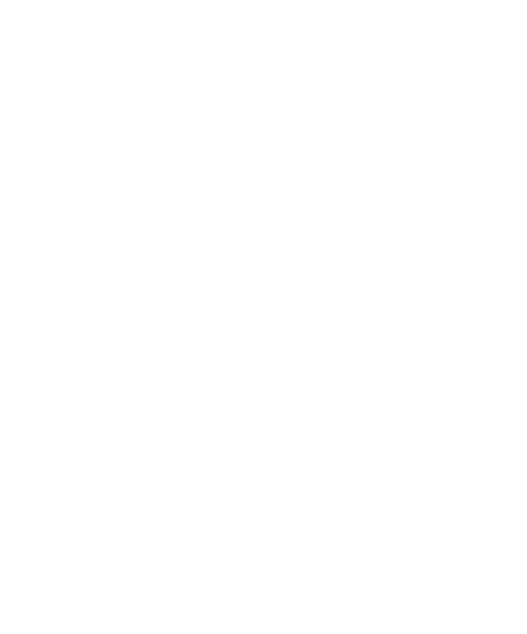 לוגו סמינר נוות ישראל