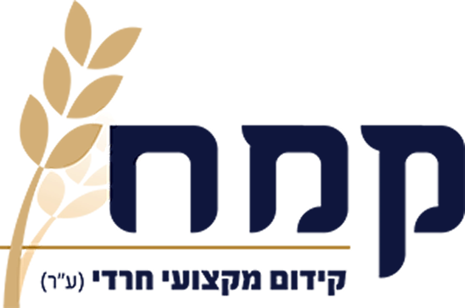 לוגו קמח