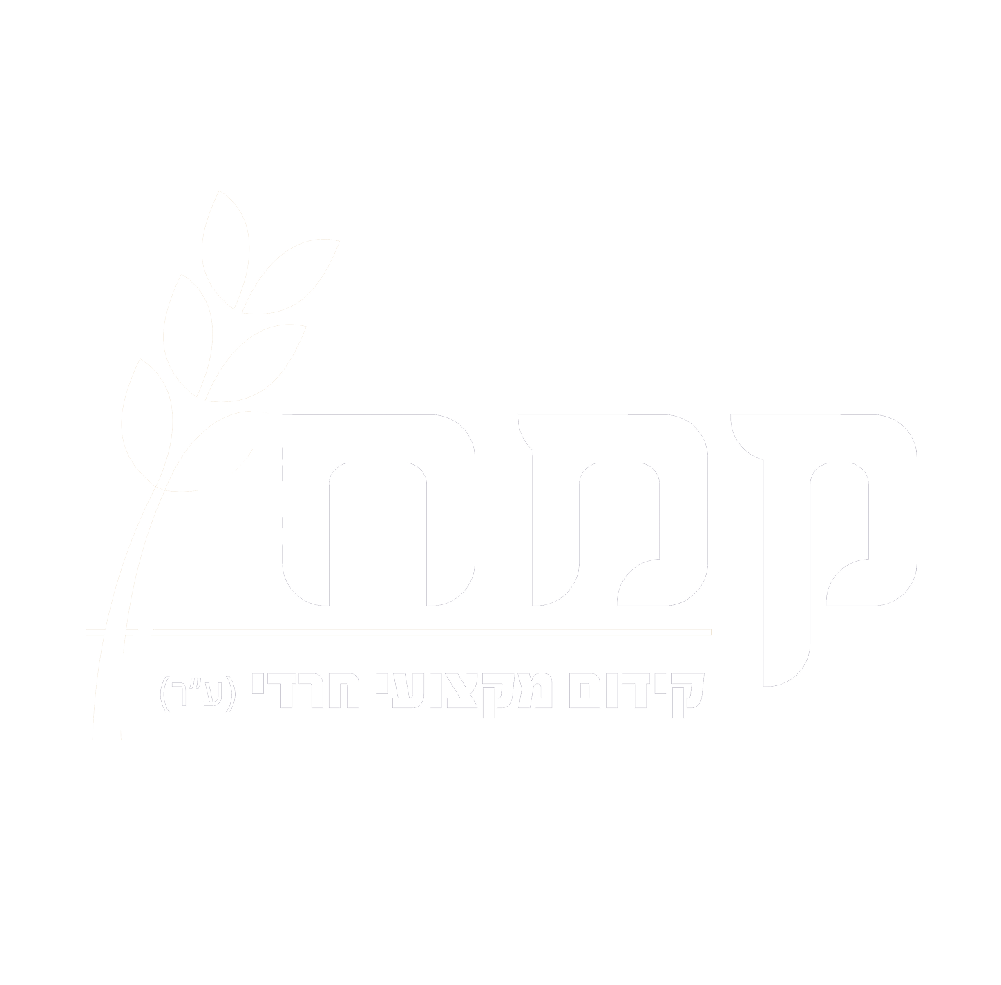 לוגו קמח